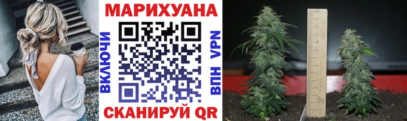 Хочу наркоту Котельнич КОКАИН  АМФ  Псилоцибиновые грибы  ГАШИШ  Alpha-PVP  МАРИХУАНА 
