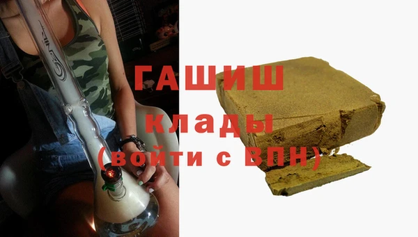 прущие грибы Михайловка