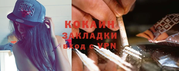 прущие грибы Михайловка