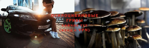 первитин Болотное