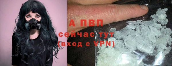 стаф Михайлов