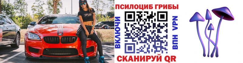 цена   Котельнич  Галлюциногенные грибы прущие грибы 